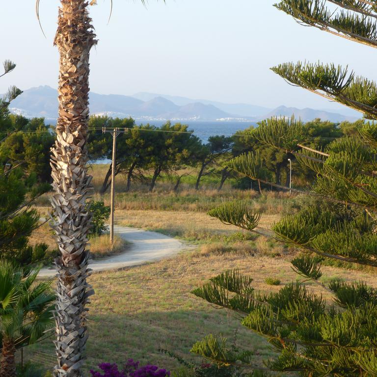 Blue Nest Hotel Tigaki Exterior foto